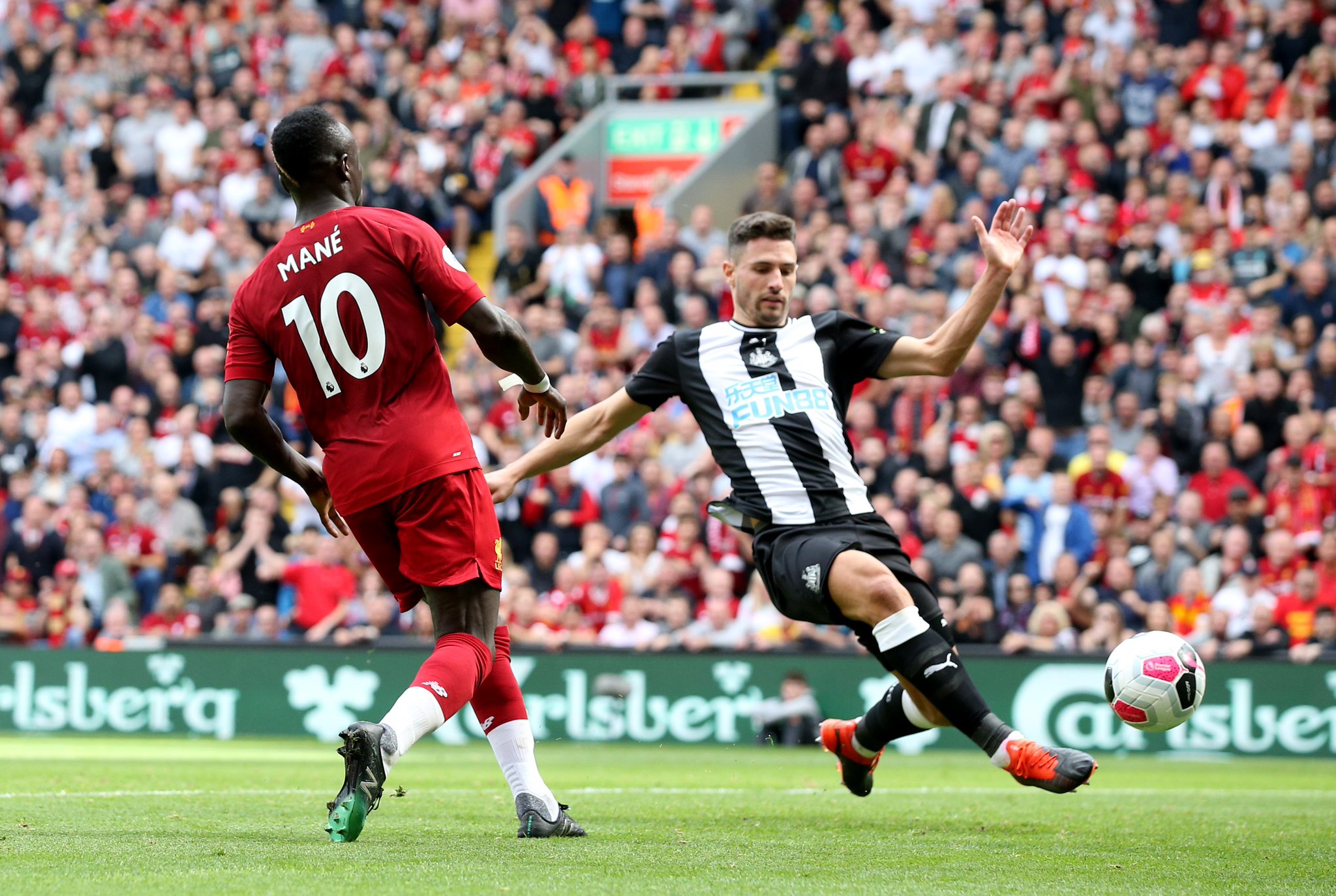 范围内的品 范围内的品